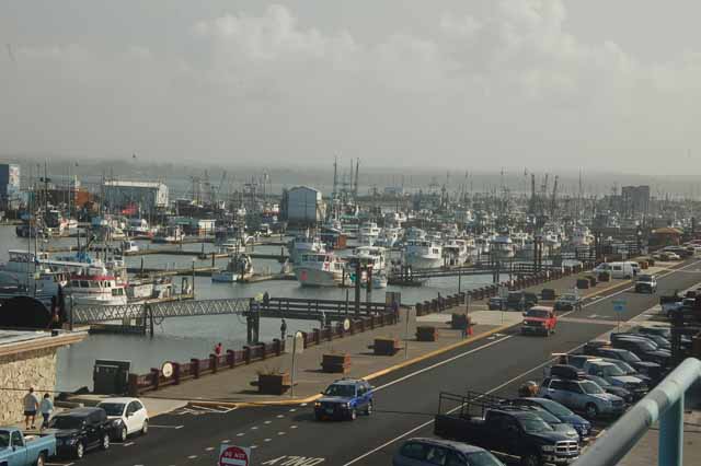 Westport